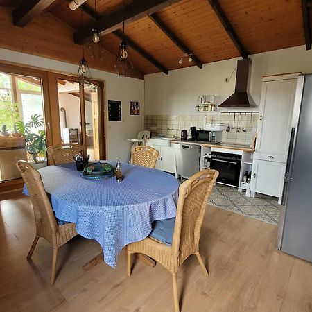 Apartament Ruheidylle Weitblick Kleinich Zewnętrze zdjęcie